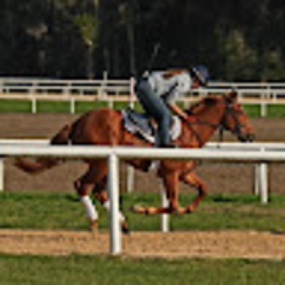 Meet your Posher, Anne